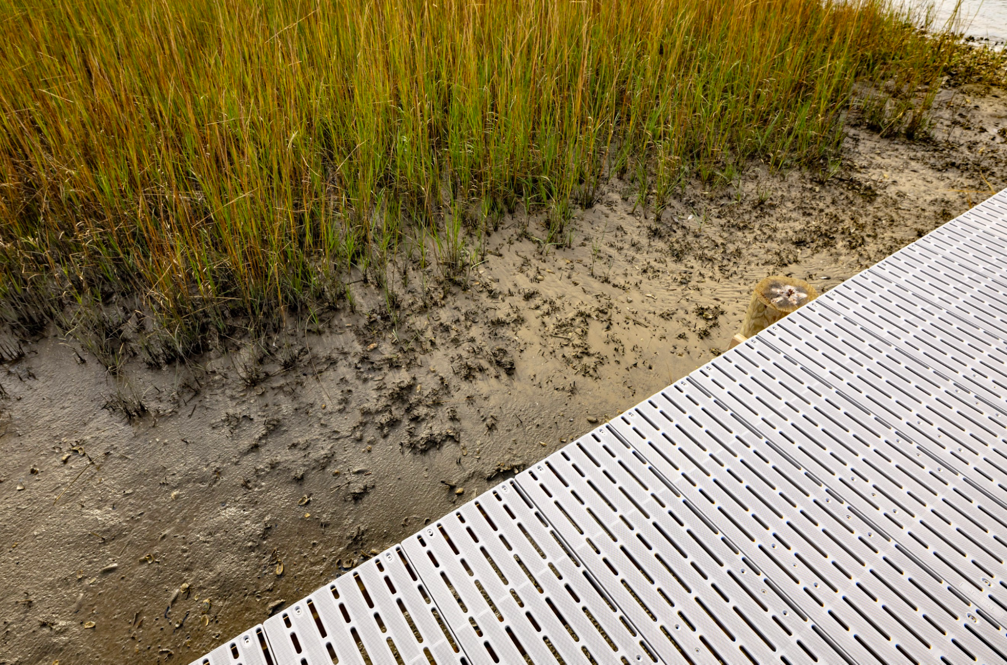 This is a view of the shoreline featuring a dock made from Titan Deck materials, which allows sunlight to come through its grid profile. The shore’s environment features grass and other vegetation. 